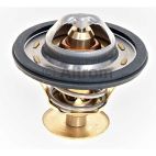 Engine Coolant Thermostat