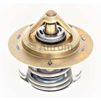 Engine Coolant Thermostat