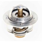 Engine Coolant Thermostat
