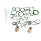 A/C Compressor Kit