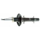 Suspension Strut