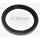 Engine Crankshaft Seal