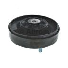 Shock Mount