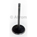 Engine Intake Valve