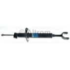 Suspension Strut