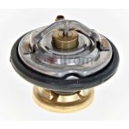 Engine Coolant Thermostat