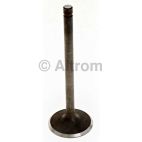 Engine Intake Valve