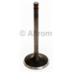 Engine Intake Valve