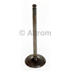 Engine Intake Valve