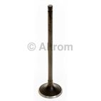 Engine Intake Valve