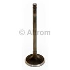 Engine Intake Valve
