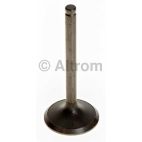 Engine Intake Valve