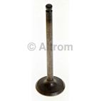 Engine Intake Valve