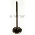 Engine Intake Valve