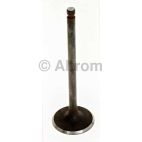 Engine Intake Valve