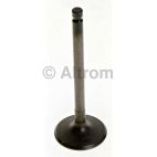Engine Intake Valve