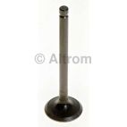 Engine Exhaust Valve