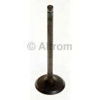 Engine Intake Valve