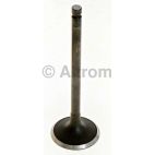 Engine Intake Valve
