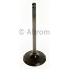 Engine Intake Valve