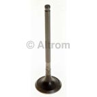 Engine Exhaust Valve