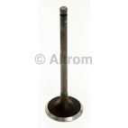 Engine Intake Valve