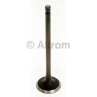Engine Intake Valve