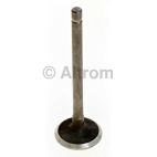 Engine Exhaust Valve