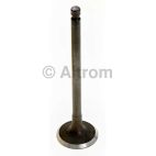 Engine Intake Valve