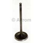 Engine Intake Valve
