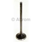 Engine Exhaust Valve