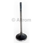 Engine Intake Valve