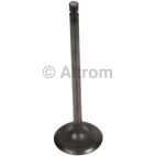 Engine Intake Valve