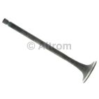 Engine Exhaust Valve