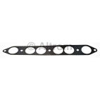 Fuel Injection Plenum Gasket