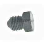 Engine Oil Drain Plug