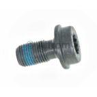 Flywheel Housing Bolt