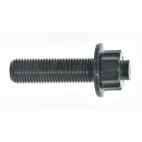 Engine Crankshaft Bolt