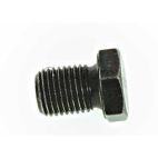 Engine Oil Drain Plug