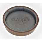 Engine Camshaft Plug