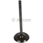 Engine Intake Valve