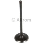 Engine Intake Valve