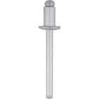 Auveco Blind Pan-L Rivet