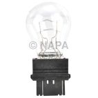 Back Up Light Bulb