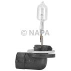 Fog Light Bulb