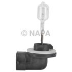 Turn Signal Light Bulb