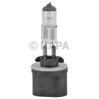 Fog Light Bulb