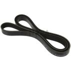 Serpentine Belt