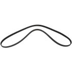 Belt - Serpentine - Bando