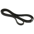 Serpentine Belt